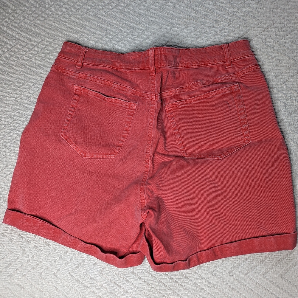 Stretchy Shorts, Size 16/XL